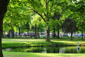 Dwingeloo omgeving, b en b Dwingeloo, activiteiten Dwingeloo, Dwingeloo Radiotelescoop, Nationale parken omgeving Dwingeloo, Historische musea omgeving Dwingeloo, Ecotours Drenthe,