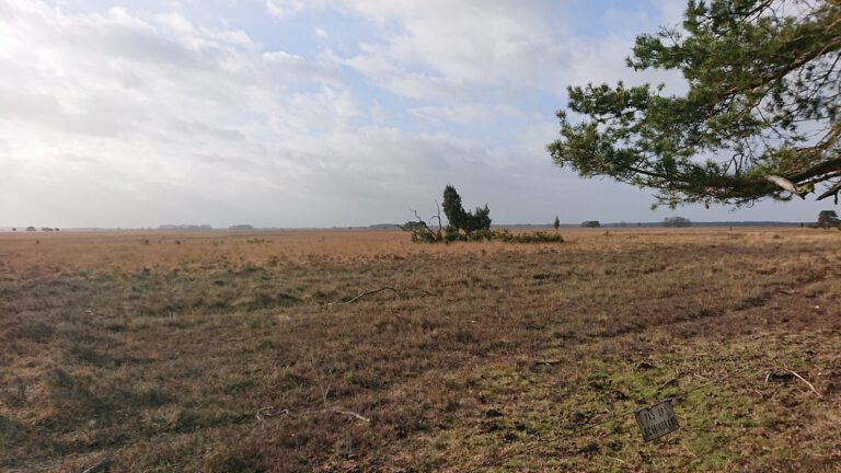 Dwingeloo omgeving, b en b Dwingeloo, activiteiten Dwingeloo, Dwingeloo Radiotelescoop, Nationale parken omgeving Dwingeloo, Historische musea omgeving Dwingeloo, Ecotours Drenthe,