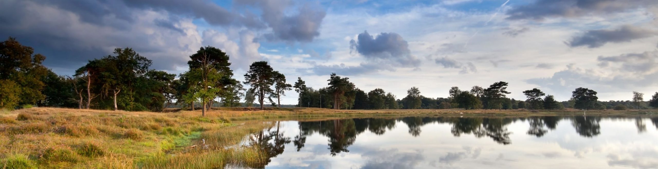 Dwingeloo omgeving, b en b Dwingeloo, activiteiten Dwingeloo, Dwingeloo Radiotelescoop, Nationale parken omgeving Dwingeloo, Historische musea omgeving Dwingeloo, Ecotours Drenthe,