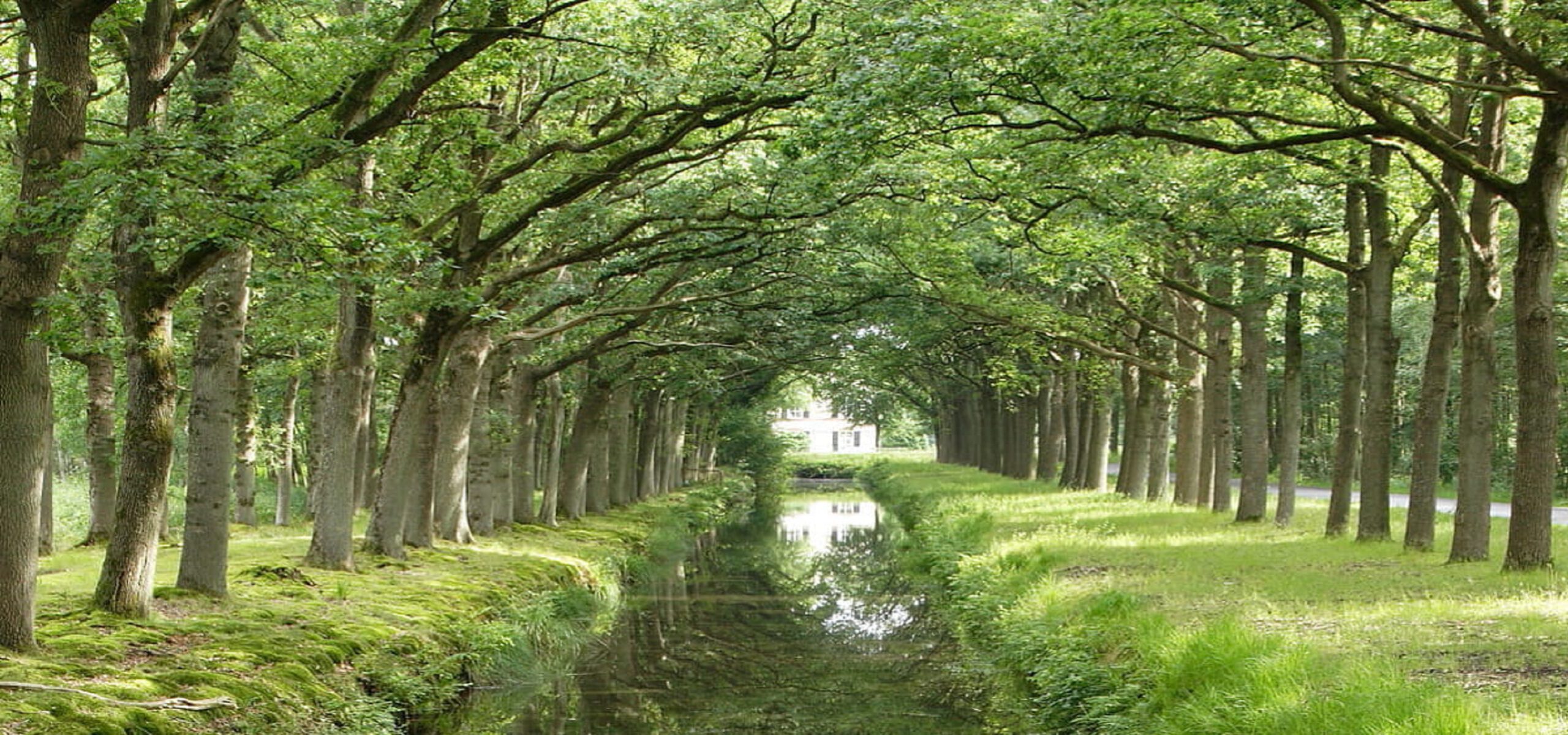 Dwingeloo omgeving, b en b Dwingeloo, activiteiten Dwingeloo, Dwingeloo Radiotelescoop, Nationale parken omgeving Dwingeloo, Historische musea omgeving Dwingeloo, Ecotours Drenthe,
