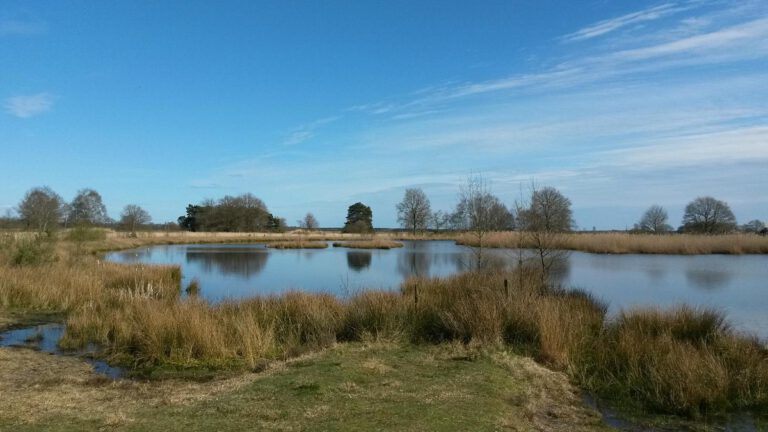 Dwingeloo omgeving, b en b Dwingeloo, activiteiten Dwingeloo, Dwingeloo Radiotelescoop, Nationale parken omgeving Dwingeloo, Historische musea omgeving Dwingeloo, Ecotours Drenthe,