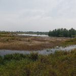 Dwingeloo omgeving, b en b Dwingeloo, activiteiten Dwingeloo, Dwingeloo Radiotelescoop, Nationale parken omgeving Dwingeloo, Historische musea omgeving Dwingeloo, Ecotours Drenthe,