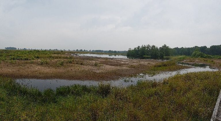 Dwingeloo omgeving, b en b Dwingeloo, activiteiten Dwingeloo, Dwingeloo Radiotelescoop, Nationale parken omgeving Dwingeloo, Historische musea omgeving Dwingeloo, Ecotours Drenthe,