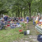 Dwingeloo omgeving, b en b Dwingeloo, activiteiten Dwingeloo, Dwingeloo Radiotelescoop, Nationale parken omgeving Dwingeloo, Historische musea omgeving Dwingeloo, Ecotours Drenthe,