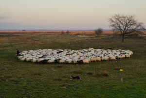 Dwingeloo omgeving, b en b Dwingeloo, activiteiten Dwingeloo, Dwingeloo Radiotelescoop, Nationale parken omgeving Dwingeloo, Historische musea omgeving Dwingeloo, Ecotours Drenthe,