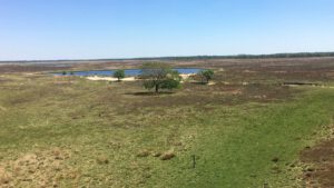 Dwingeloo omgeving, b en b Dwingeloo, activiteiten Dwingeloo, Dwingeloo Radiotelescoop, Nationale parken omgeving Dwingeloo, Historische musea omgeving Dwingeloo, Ecotours Drenthe,