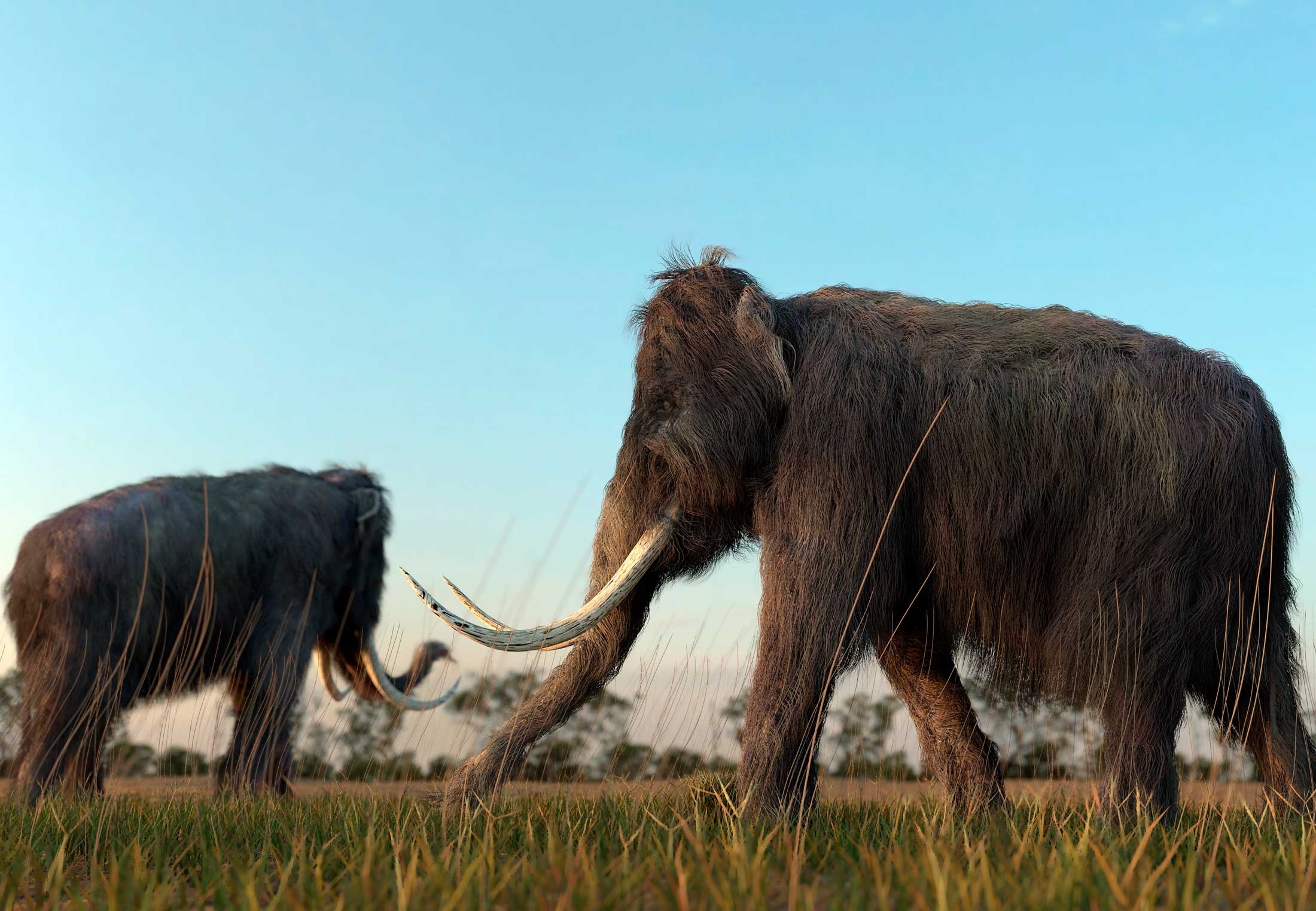 Beleef de oertijd in Drenthe,
