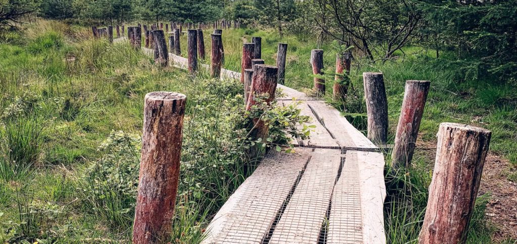 Dwingeloo omgeving, b en b Dwingeloo, activiteiten Dwingeloo, Dwingeloo Radiotelescoop, Nationale parken omgeving Dwingeloo, Historische musea omgeving Dwingeloo, Ecotours Drenthe,