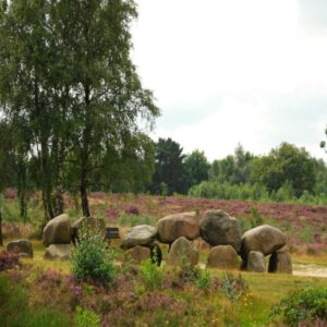 Dwingeloo omgeving, b en b Dwingeloo, activiteiten Dwingeloo, Dwingeloo Radiotelescoop, Nationale parken omgeving Dwingeloo, Historische musea omgeving Dwingeloo, Ecotours Drenthe,