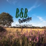 Dwingeloo omgeving, b en b Dwingeloo, activiteiten Dwingeloo, Dwingeloo Radiotelescoop, Nationale parken omgeving Dwingeloo, Historische musea omgeving Dwingeloo, Ecotours Drenthe,