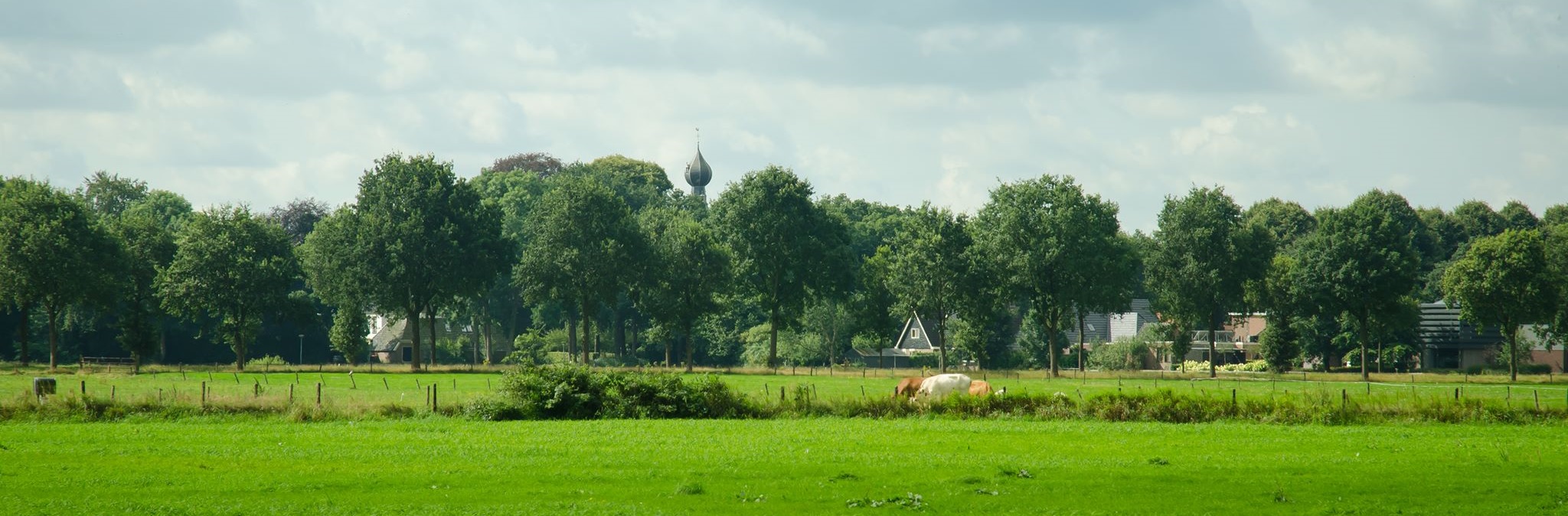 Dwingeloo Omgeving Bezienswaardigheden B B Dwingeloo